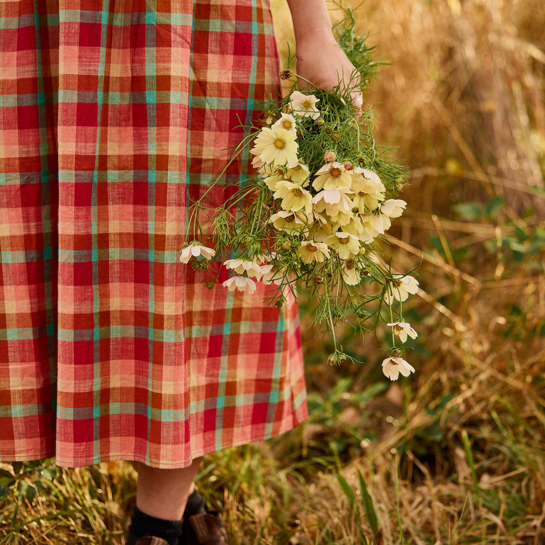 Cosmos Kiiro Flower | X 50 Seeds