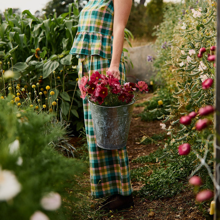 Cosmos Velouette Flower | X 50 Seeds