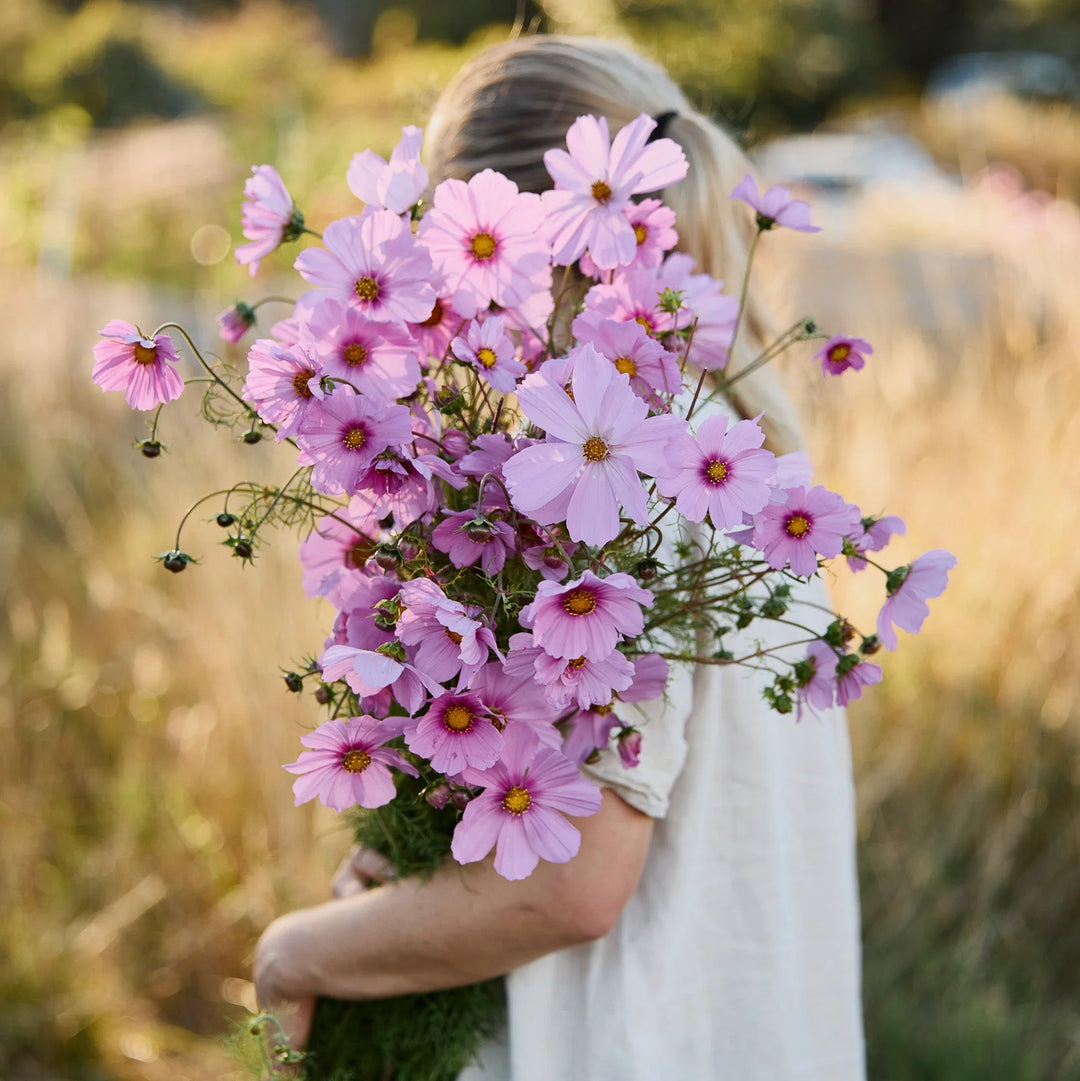 Breast Cancer Pink Seed Pack x 10 Varieties