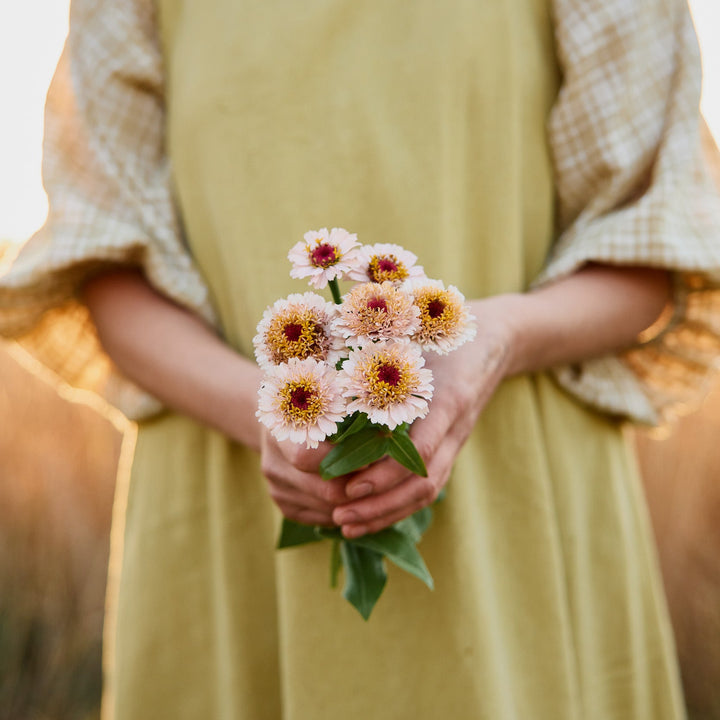 Zinnia Zinderella Lilac Flower | X 30 Seeds