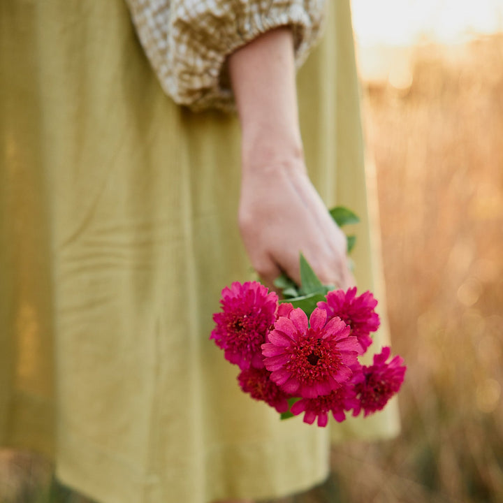 Zinnia Cresto Violet Flower | X 30 Seeds