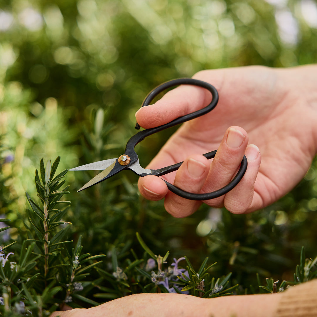 Small Vintage Flower + Herb Scissors