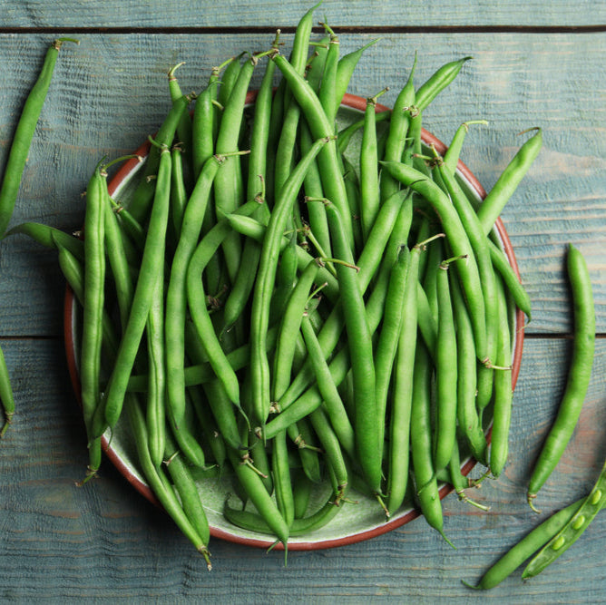 Bean Strike Vegetable | X 20 Seeds