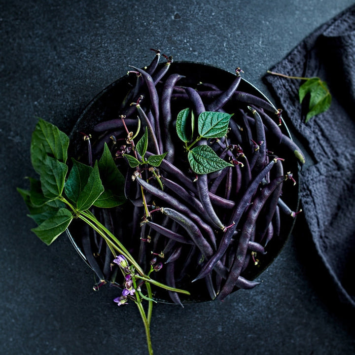 Bean Royal Burgundy Vegetable | X 20 Seeds