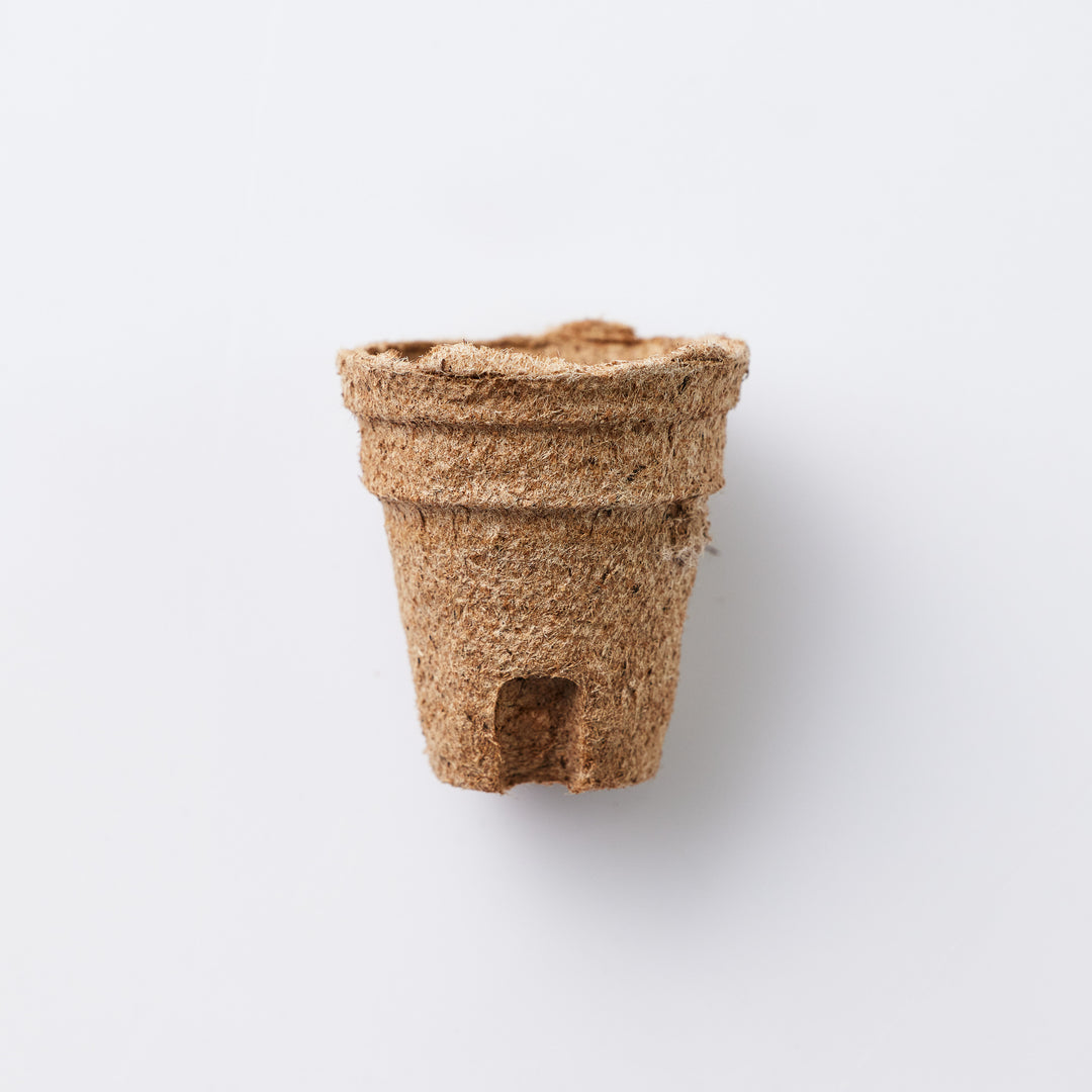 Jiffy Seed Pots Small (45mm) x12