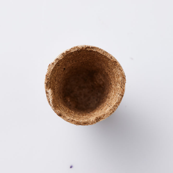 Jiffy Seed Pots Small (45mm) x12