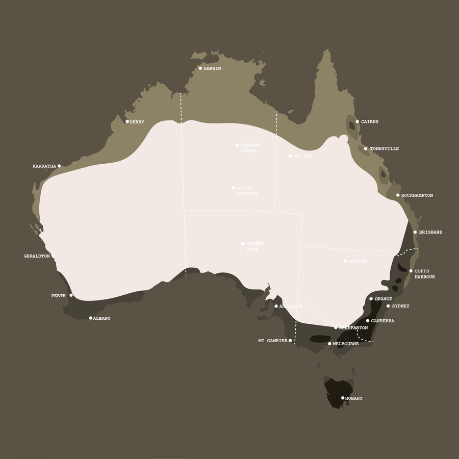 Spring Seed Sowing In Australia – Veggie & Flower Garden Seeds