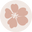 Veggie & Flower Garden Seeds Australia logo