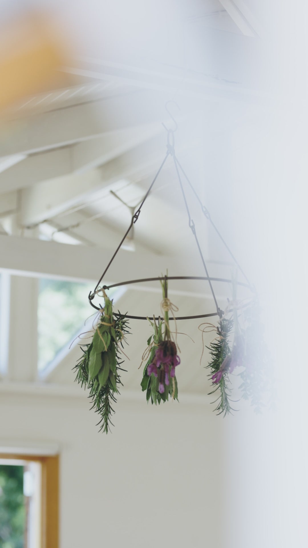 Hanging Flower + Herb Dryer