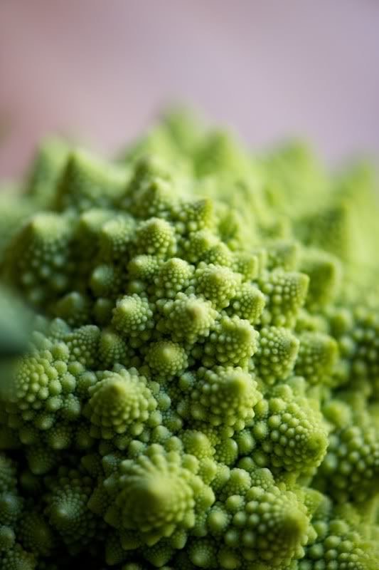 Broccoli Romanesco Seeds