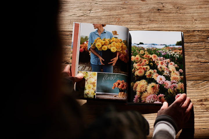 Floret Farm's Discovering Dahlias Book : A Guide to Growing and Arranging Magnificent Blooms by Erin Benzakein + 1 x Packet Of Dahlia Flower Seeds