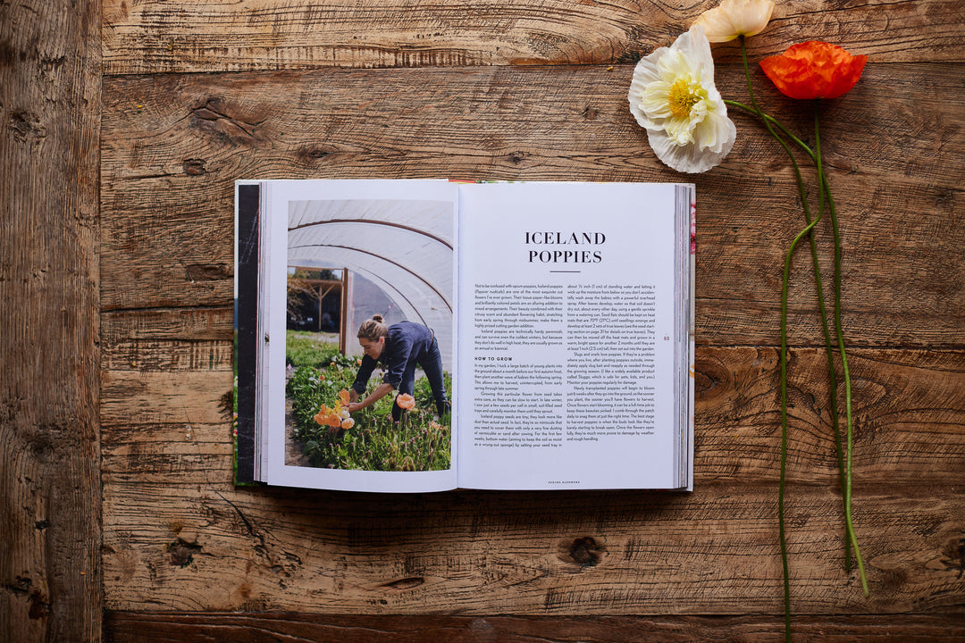 Floret Farm's Cut Flower Garden Book:  Grow, Harvest, and Arrange Stunning Seasonal Blooms by Erin Benzakein, Michele M. Waite