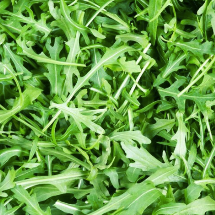 Rocket Salad Vegetable | X 200 Seeds – Veggie & Flower Garden Seeds