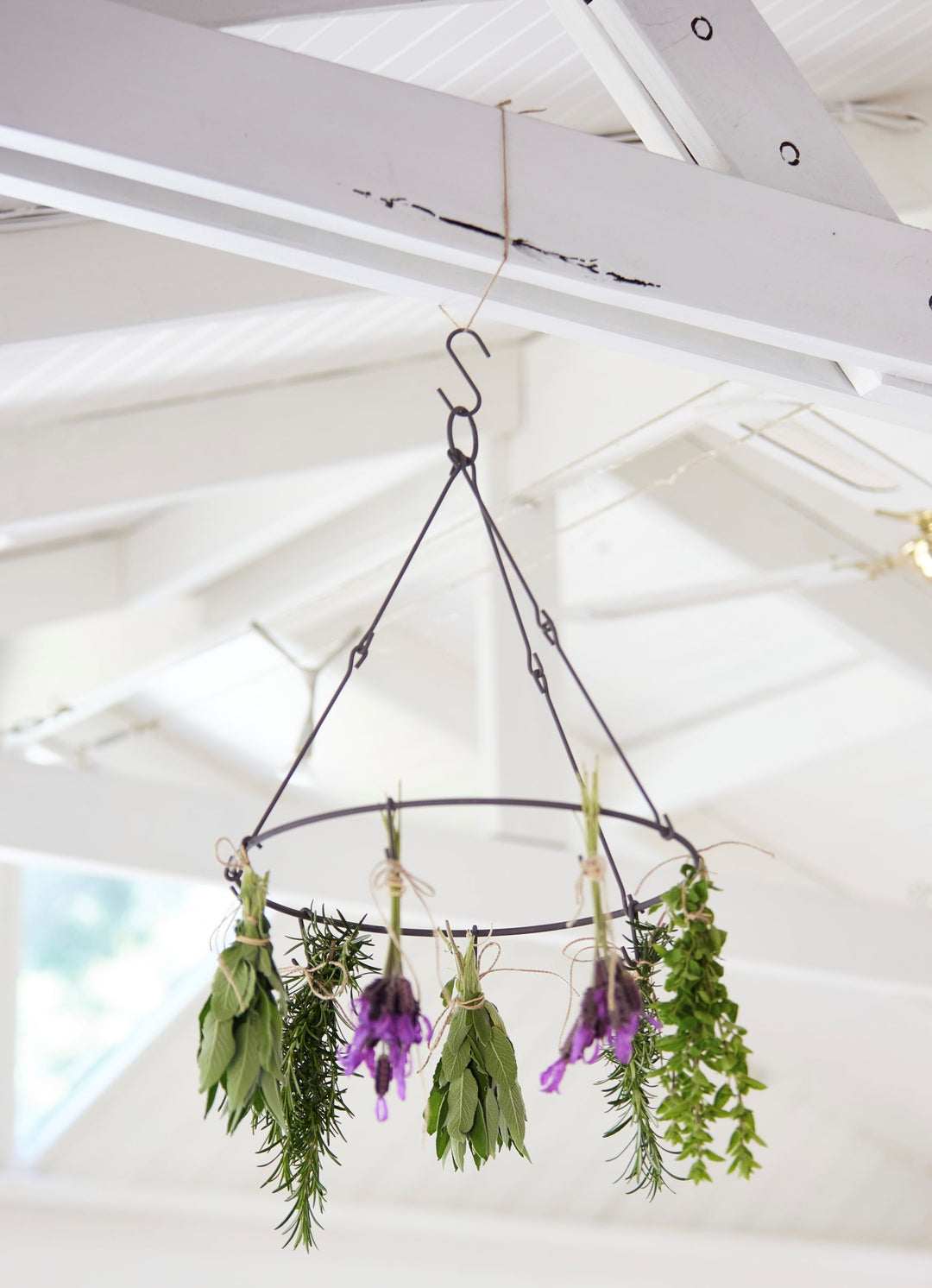 Hanging Flower + Herb Dryer