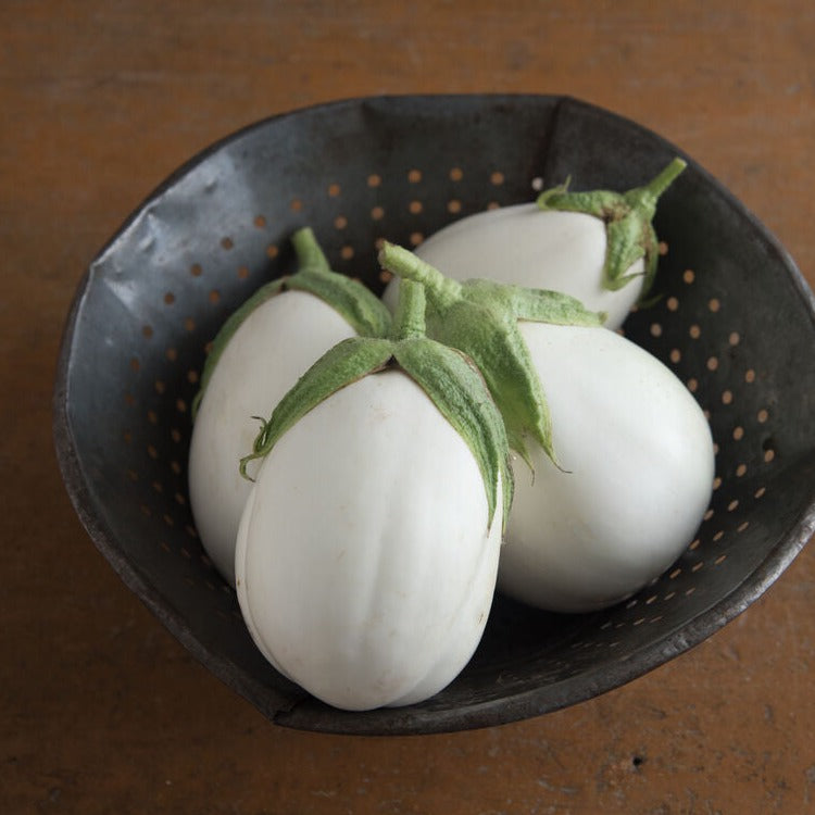 Eggplant White Egg Vegetable 