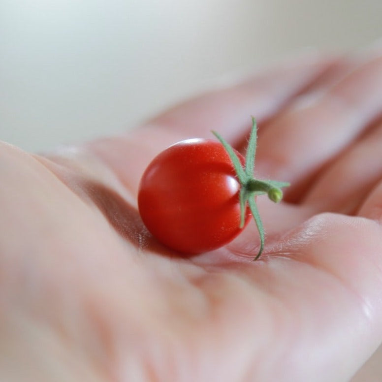 Tomato Sweet Marbles | x 100 seeds